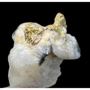 Gold on Quartz - Natural California Gold Specimen in Perky Display Box - #1